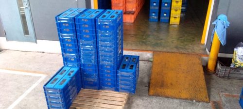 IMG-20230408-WA0087